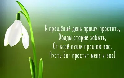 Прошу прощения у всех, кого обидела вольно или невольно. | Открытки,  Прощение, Смешные счастливые дни рождения