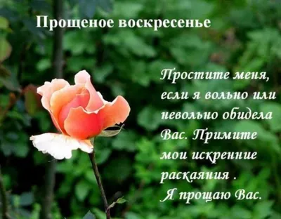 В Прощеное воскресенье принято просить прощения | Ганцавіцкі час