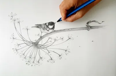 10 уроков рисования простым карандашом