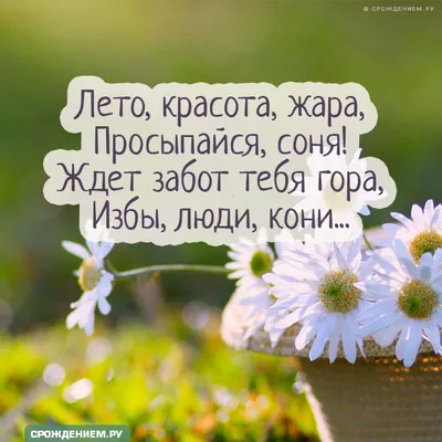 Картинка: \"Лето, красота, жара! Просыпайся соня!\" • Аудио от Путина,  голосовые, музыкальные