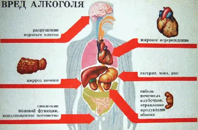 Кодирование от алкоголизма в Краснодаре | Центр помощи зависимым «Вектор» |  Краснодар