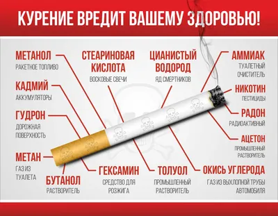 Познавательный час «Молодежь против курения» - Культурный мир Башкортостана