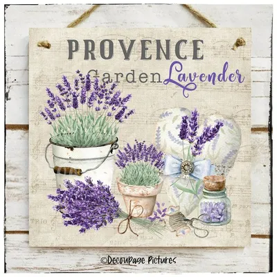 Logo provence vintage food or floristic emblem Vector Image