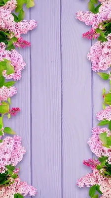 дизайн #шебби #шеббишик #прованс #дизайнпрованс #кухня | Empapelado floral,  Fondos de pantalla naturaleza, Fondos de pantalla bonitos