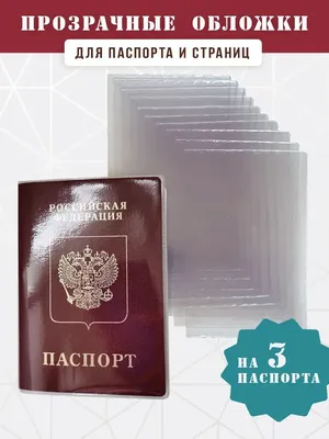 Раскраска Hatber Прозрачные страницы. Щенок купить по цене 202 ₽ в  интернет-магазине Детский мир