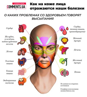 Антон Насонов - ☝Прыщи на лице - какой орган не в порядке? ⠀ Если глаза -  это отражение души, то лицо - это отражение состояния наших внутренних  органов. ⠀ Если на лице