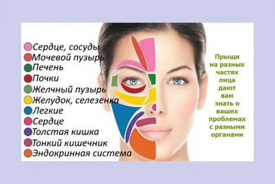 Дана Исабековна - ☝Прыщи на лице - какой орган не в порядке? Если глаза -  это отражение души, то лицо - это отражение состояния наших внутренних  органов. Если на лице появляются воспаления,