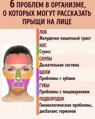 Зоны отражения внутренних органов на лице