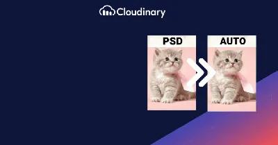 How to Convert PSD to HTML: Step by Step Guide