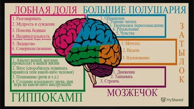 Особенности психики в пожилом возрасте - Senior Group