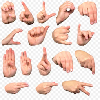 руки, выполняющие язык жестов Иллюстрация вектора - иллюстрации  насчитывающей образование, символ: 229284134