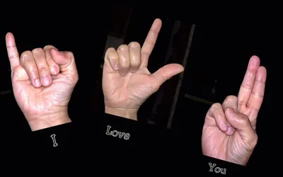 Что говорит жест: объяснение жестов рук и тела