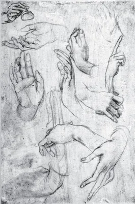 Иллюстрация 1 из 1 для Язык мимики и жестов - Кузнецов, Масалов | Лабиринт  - книги. Источник: Лабиринт
