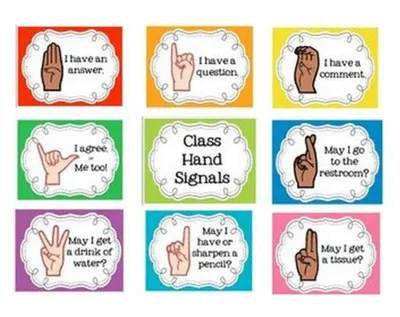 язык рук и концепция жестов PNG , выбор, женщина, жест PNG картинки и пнг  рисунок для бесплатной загрузки