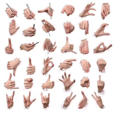 Алфавит Языка Жестов Рук — стоковая векторная графика и другие изображения  на тему Язык жестов - Язык жестов, Алфавит, Кисть руки - iStock