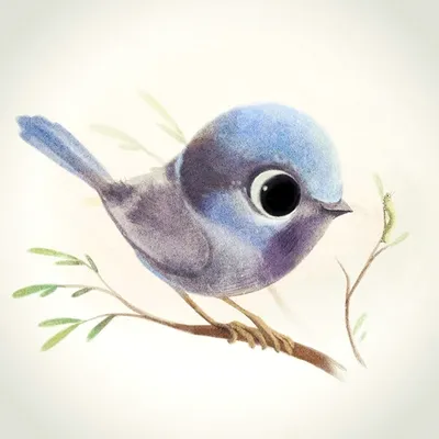Рисунки птиц для срисовки (100 фото)