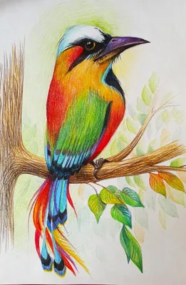 Рисунок акварелью \"Перелетные птицы\" Stock Illustration | Adobe Stock