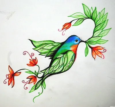 Рисунки птиц для срисовки (67 фото)
