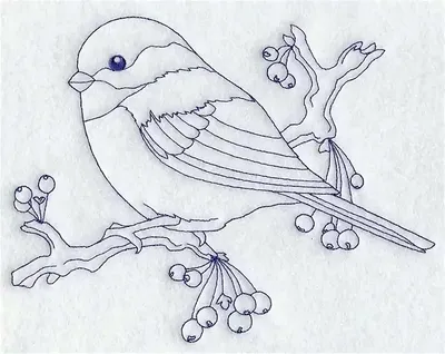 Смотреть ✓ Рисунки птиц для рисования