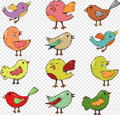 Рисунки птиц для срисовки лёгкие и красивые карандашом (34 шт)