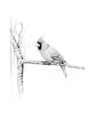 Рисунки птиц легкие - 53 фото