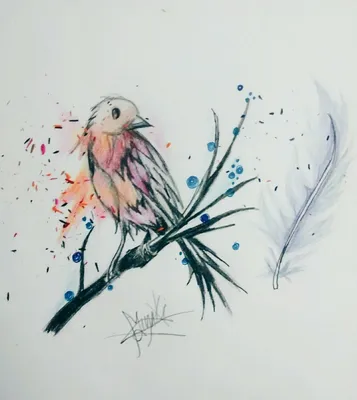 Рисунок птицы для срисовки карандашом - 66 фото