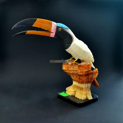 Тукан-птица с ярко окрашенным клювом | Премиум Фото