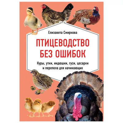 Расходов немного, а доходы – высокие. Путешествие на птицеводческую ферму