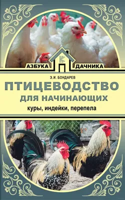 Яичное птицеводство в России — обзор отрасли промышленности |  Птицефабрики.ру