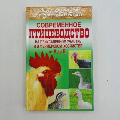 птицеводство для производства яиц Стоковое Фото - изображение насчитывающей  цыпленок, аграрным: 156859012