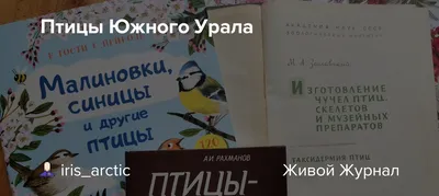 Блог старшей группы № 3 \"ФАНТАЗЕРЫ\": Рекомендации воспитателей по  лексическим темам