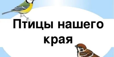 Крылатая красота | Рязанские ведомости