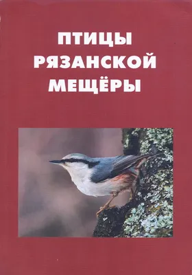 В Рязанской области продолжают развиваться предприятия по выращиванию птицы