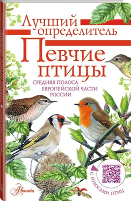 Певчие птицы. Средняя полоса европейской части России. Определитель с  голосами птиц | Коблик Евгений Александрович - купить с доставкой по  выгодным ценам в интернет-магазине OZON (705428212)