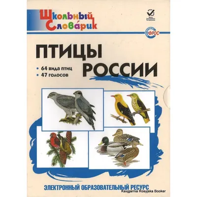 Мемо 2 в 1 Нескучные игры Птицы России и Экзотические птицы купить по цене  363 ₽ в интернет-магазине Детский мир
