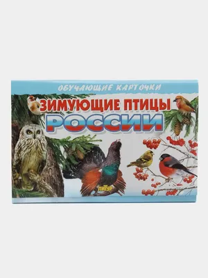 Карточки \"Перелетные и зимующие птицы России\"