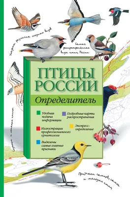 Птицы России interactive worksheet | Live Worksheets