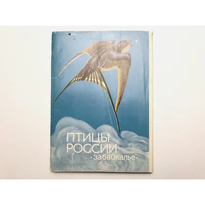 Иллюстрация 1 из 22 для Карточки Зимующие птицы России | Лабиринт - книги.  Источник: Лабиринт