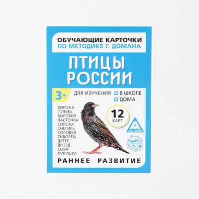 Птицы России. Лучшие книги для дошкольников. Энциклопедия Владис 18882466  купить за 42 900 сум в интернет-магазине Wildberries