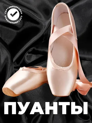 Пуанты для балета и танцев для начинающих Обувь для балета 180332772 купить  за 1 592 ₽ в интернет-магазине Wildberries