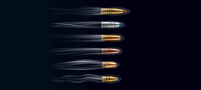Анатомия пули. В чём отличие спортивных и охотничьих патронов? | Про Охоту  и Оружие | Дзен