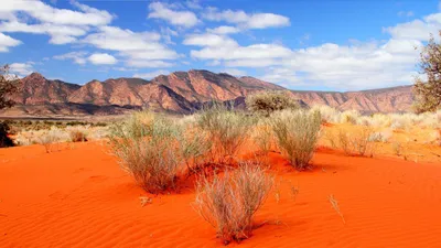 Пустыни и Горы Марокко | Неизведанный Мир - активный отдых 2022-2023,  активные туры по всему миру. Треккинг, рафтинг, вип-туры, походы!