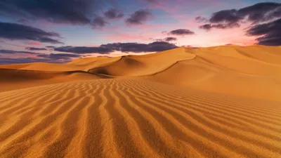 Туранские пустыни включены в список Всемирного природного наследия ЮНЕСКО –  Новости Узбекистана – Газета.uz