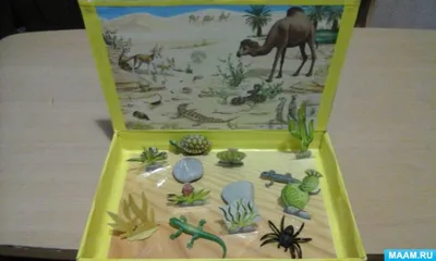 Запретная пустыня (Forbidden Desert) | Купить настольную игру (обзор,  отзывы, цена) в Игровед