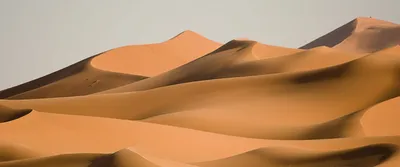 Фотографии пустыня Природа 1920x1080