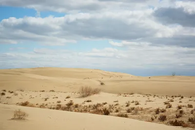 Марокко: Автопутешествие в пустыню Сахара - купить тур по цене 600 €