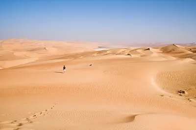Аравийская пустыня: факты, животный и растительный мир