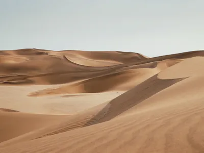 Пустыня Сахара: тайны самого горячего места на Земле | Онлайн-школа  «Синергия» | Дзен