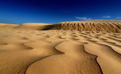 Скачать 1920x1080 пустыня, песок, барханы, волнистый, след, небо обои,  картинки full hd, hdtv, fhd, 1080p