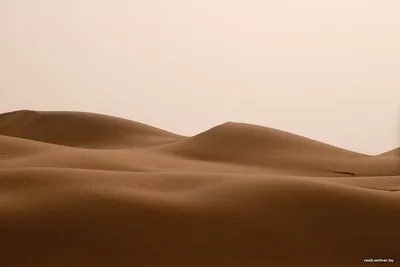 Самая жаркая пустыня в мире тоже здесь» – Коммерсантъ FM